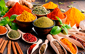 condimentos y sazonadores